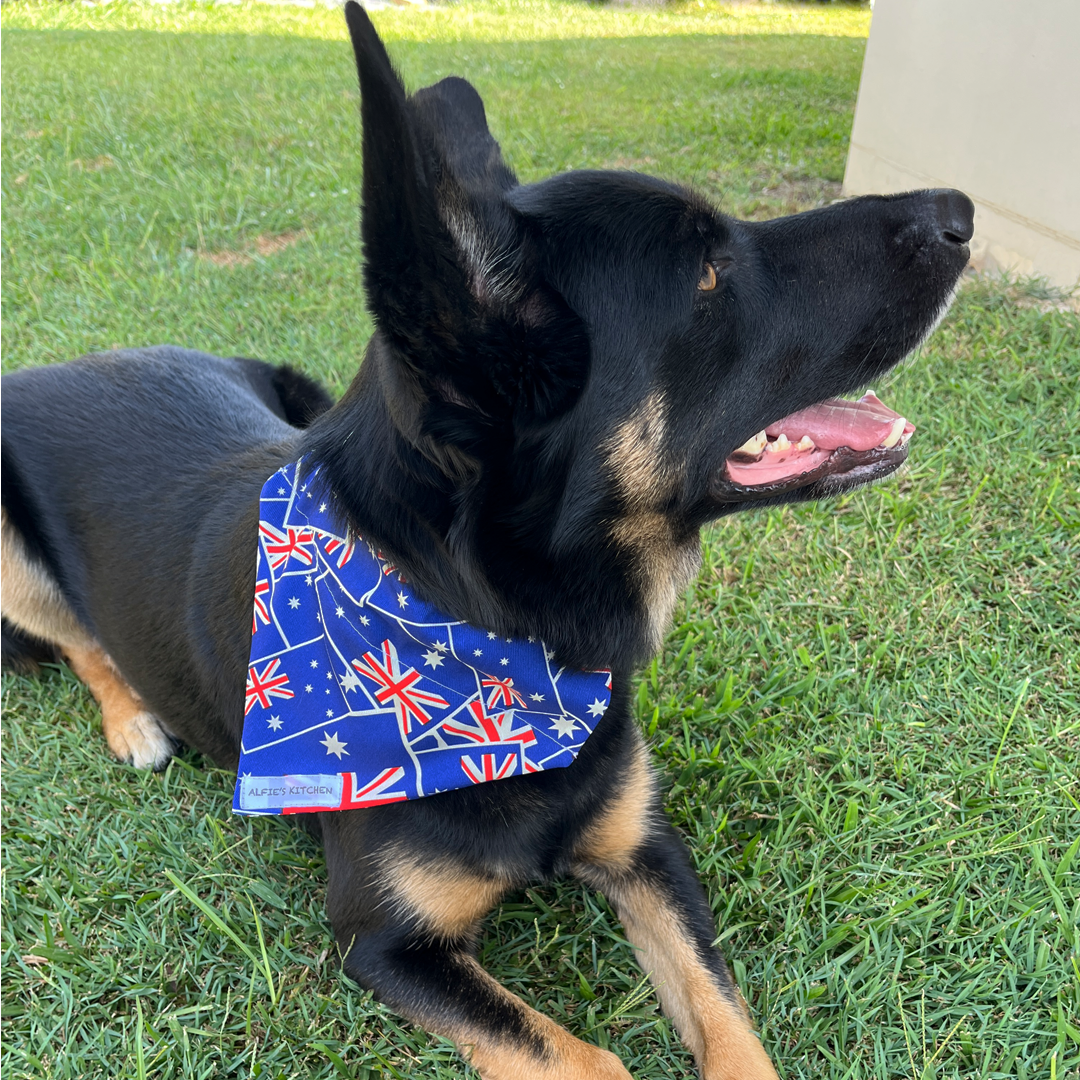 Alfie-AustraliaDayBandana.png
