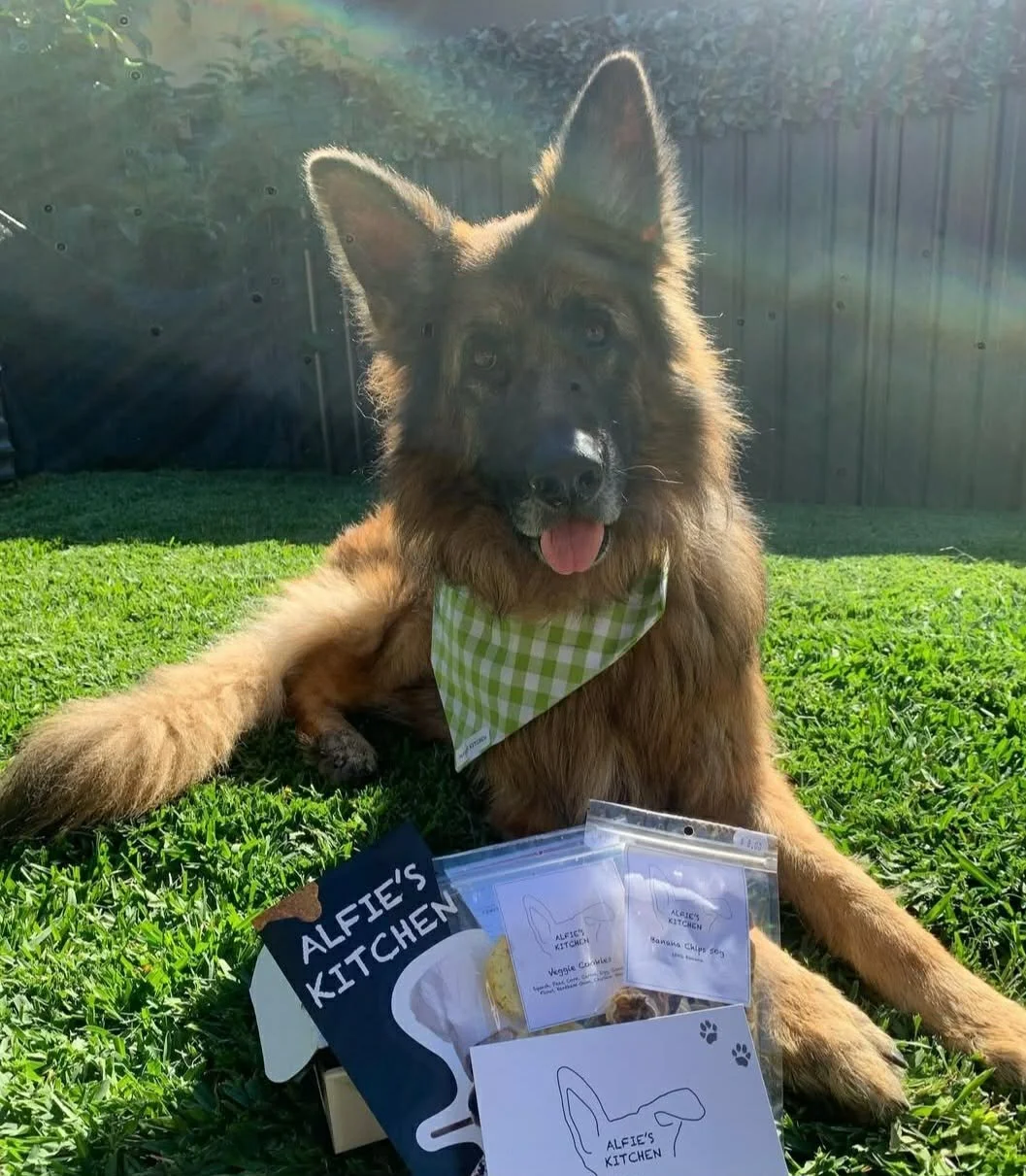 Green Gingham B.jpg