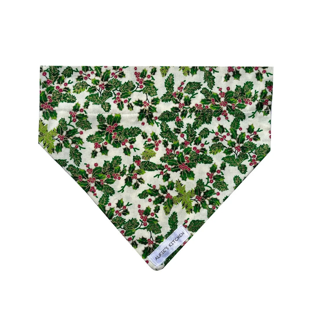 Mistletoe.jpg