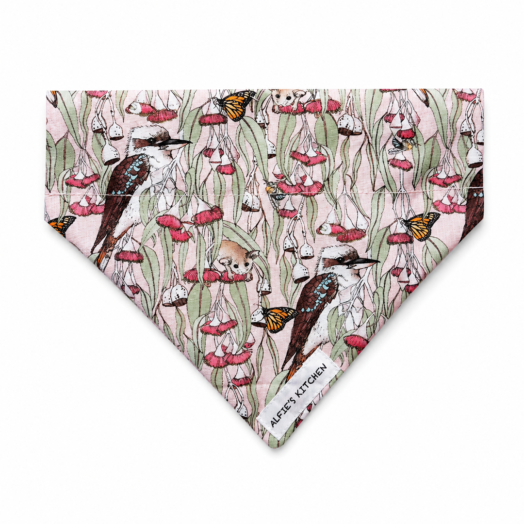 KookaburraBandana.png