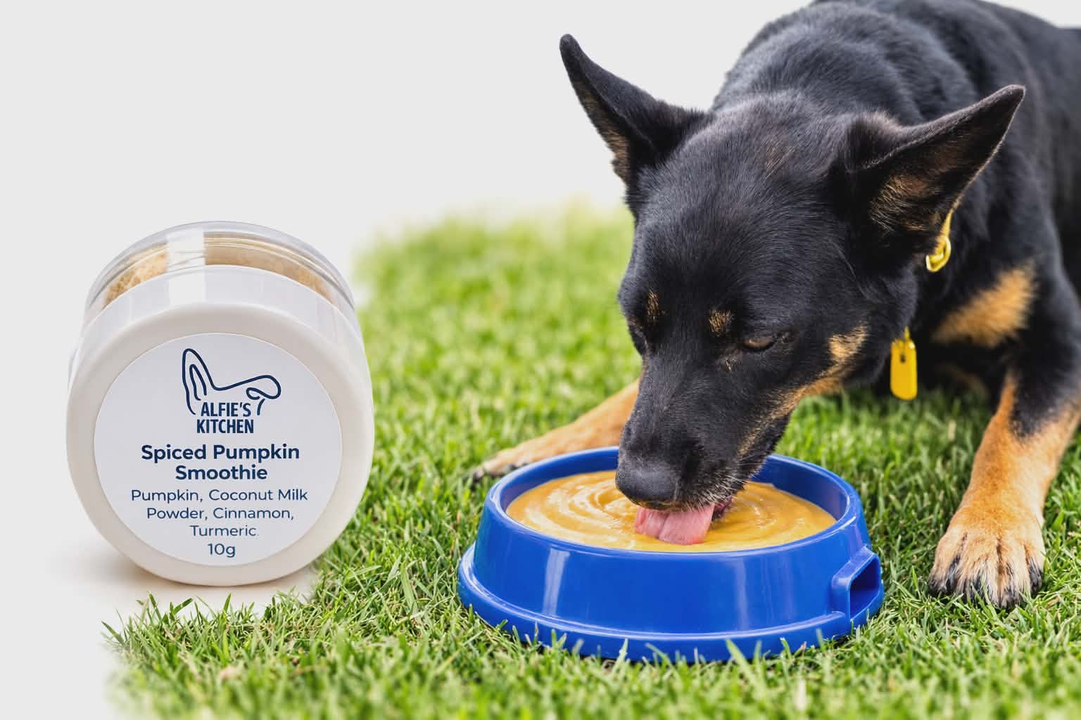 Spice pump Alfie.jpg