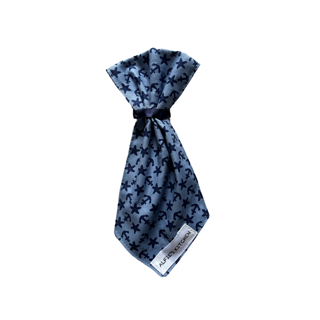 BlueTie-2.png