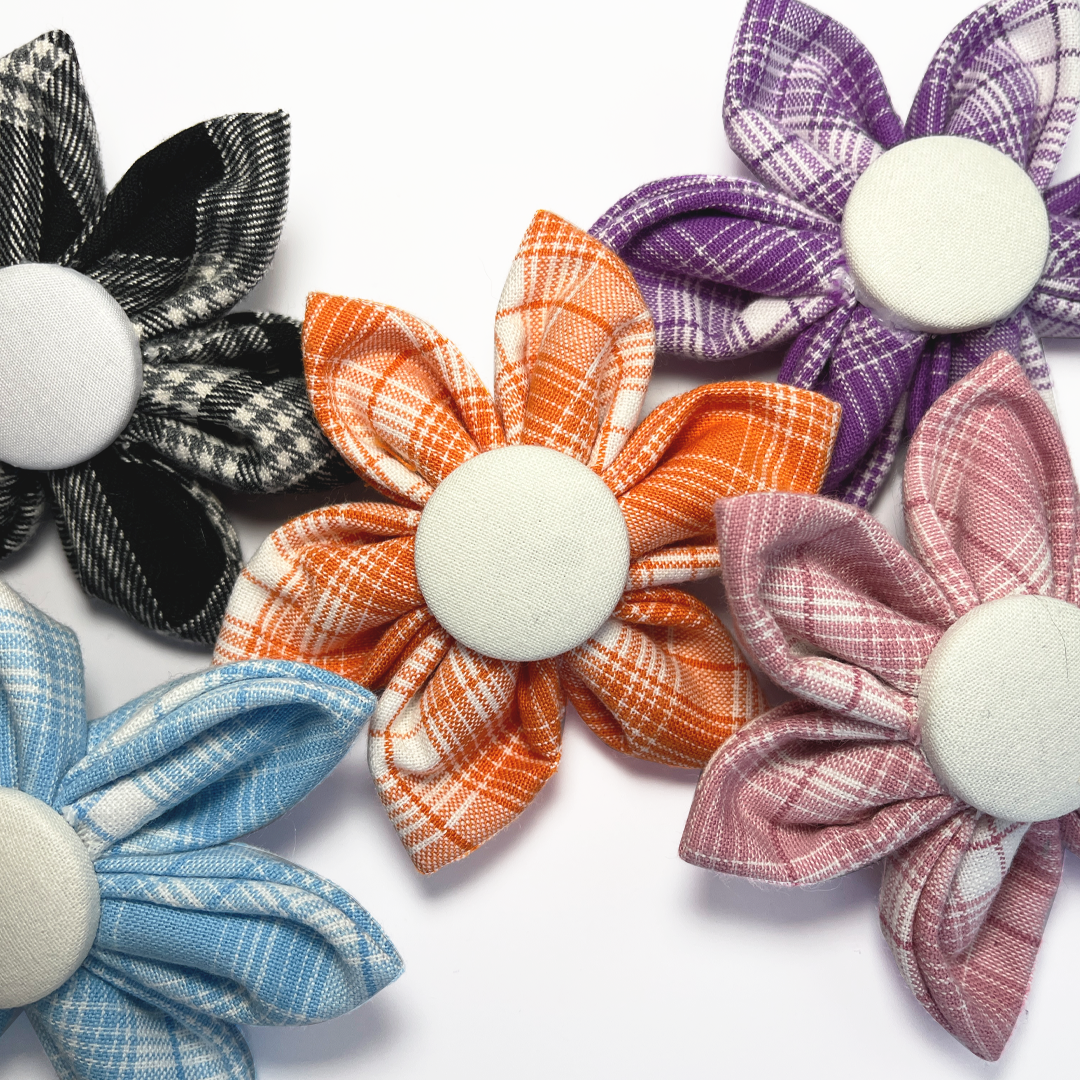 CheckBows.png