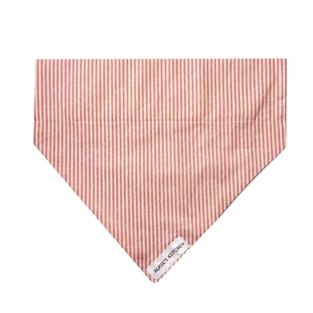 PinkStripe.jpg