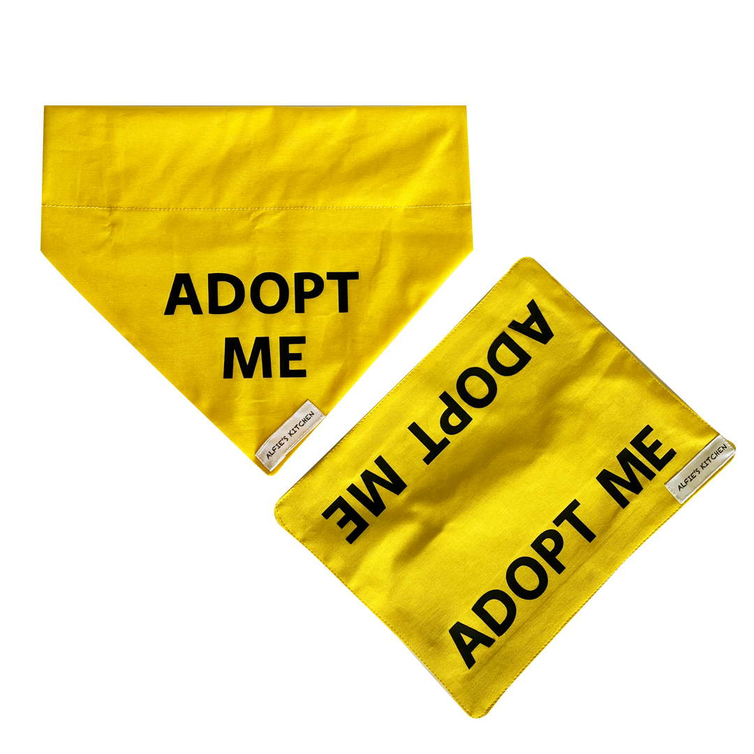 Custom Bandana: Lead Wrap.png