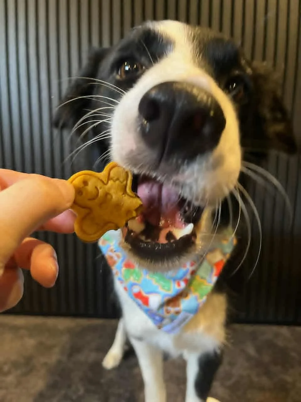 Gingerbread.jpg (Copy)