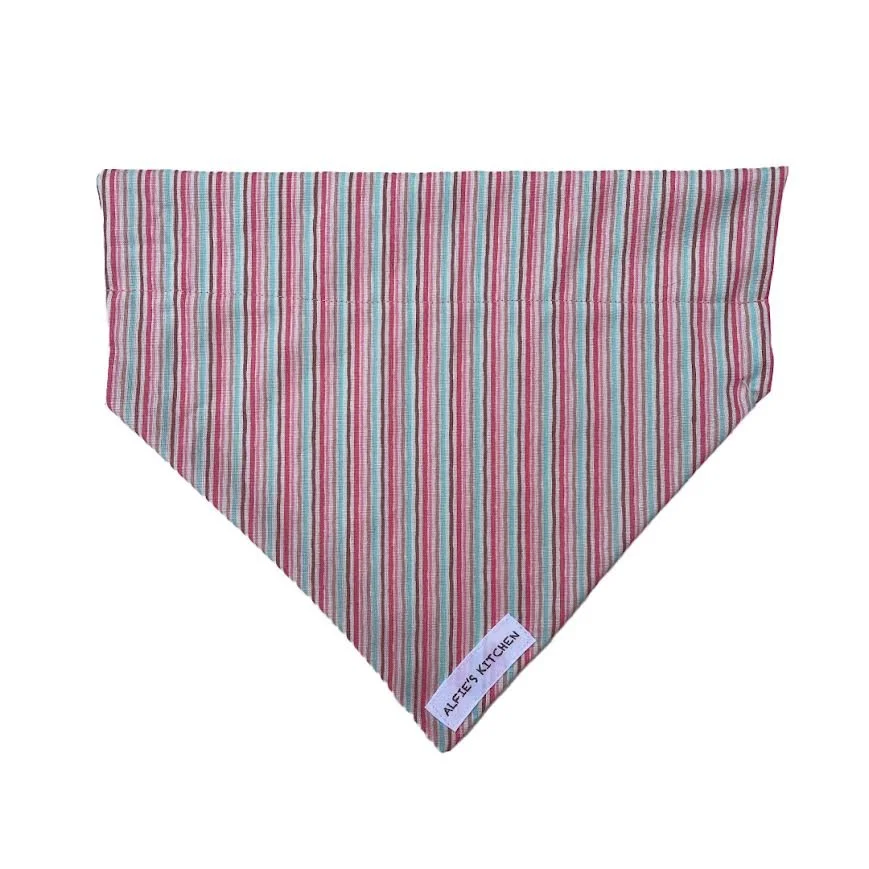 Pink Stripe.jpg