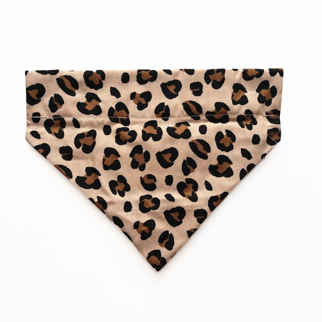 Leopard Print #2.jpg