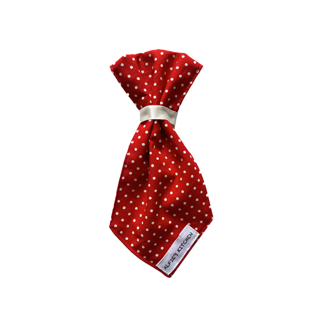RedPolkaDotTie.png