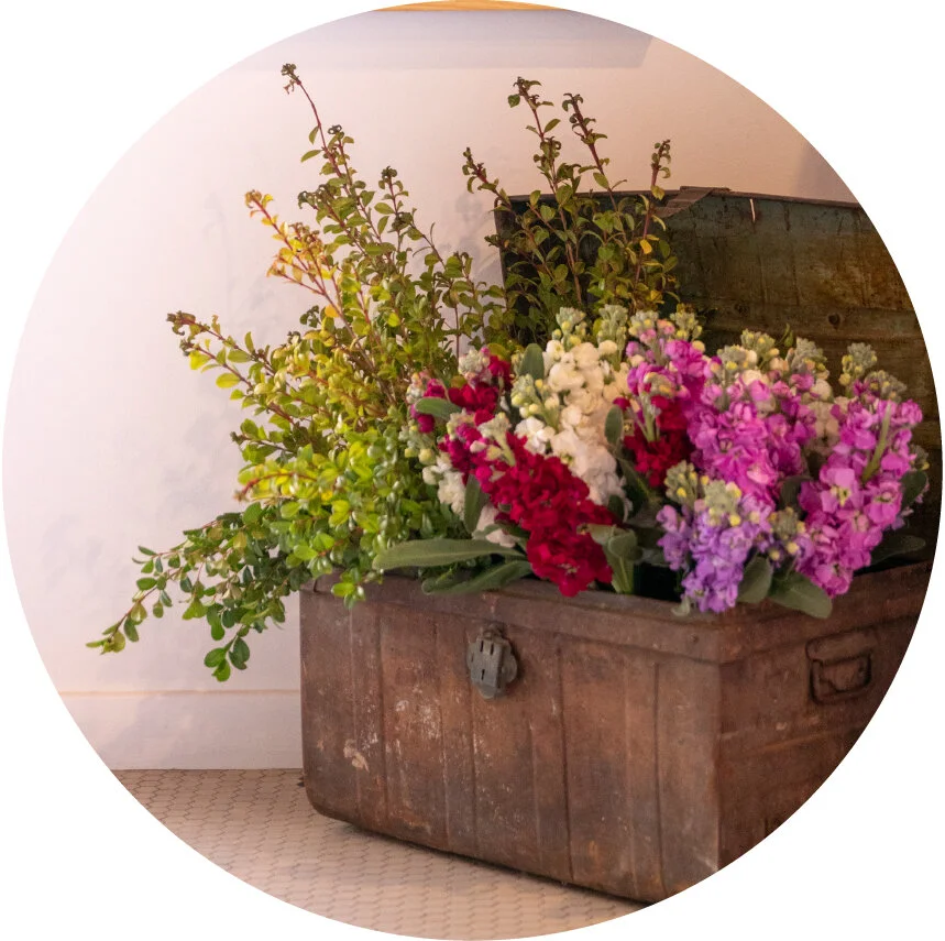 Florist Singleton August Bloom