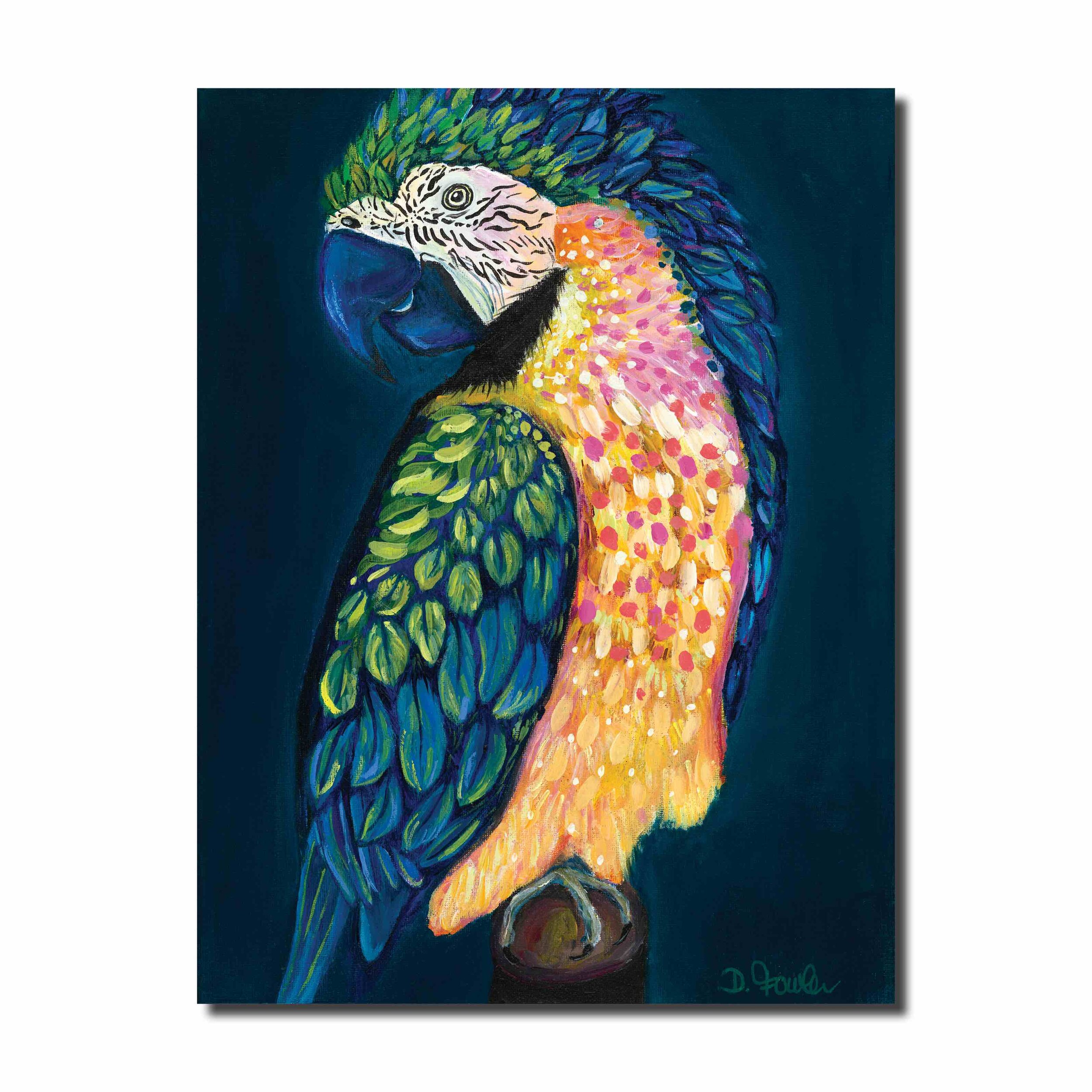 Macaw wall.jpg