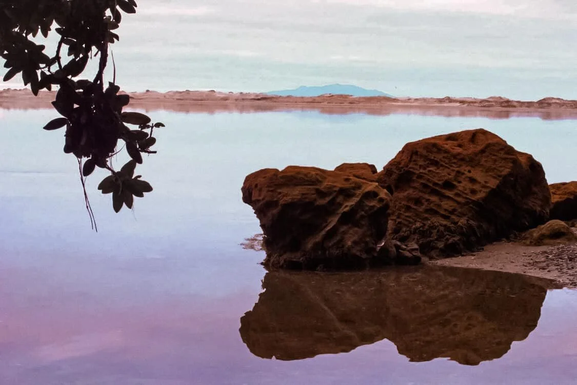 118817268_3829747343708551_101865700733456315_o (1).jpg