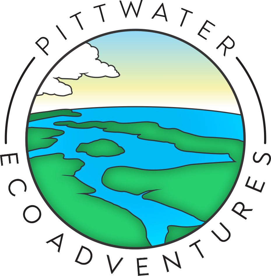 Pittwater Eco Adventures