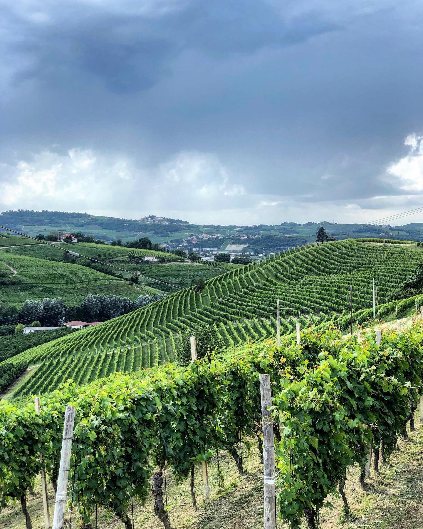 The Santo Stefano vineyard of Neive seen off in the distance underneath imposing dark thunderstorm clouds.  This is the vineyard that Bruno Giacosa used for his famous Riserva etichetta rossa, red label, in the Barbaresco region of Piedmont, Italy.  
