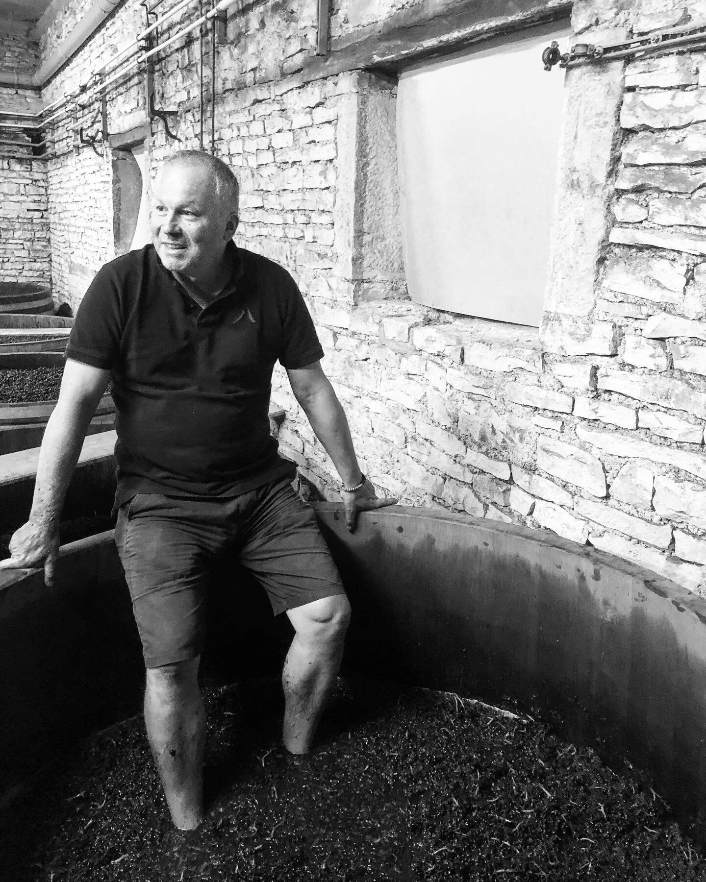 Etienne de Montille seen working in the open top cask full of Volnay &ldquo;taillepieds&rdquo; which is 100% whole cluster, walking in the vineyard, and cleaning up at the end of the day.  This is Sunday, this is harvest 2020.  @etiennedemontille @do