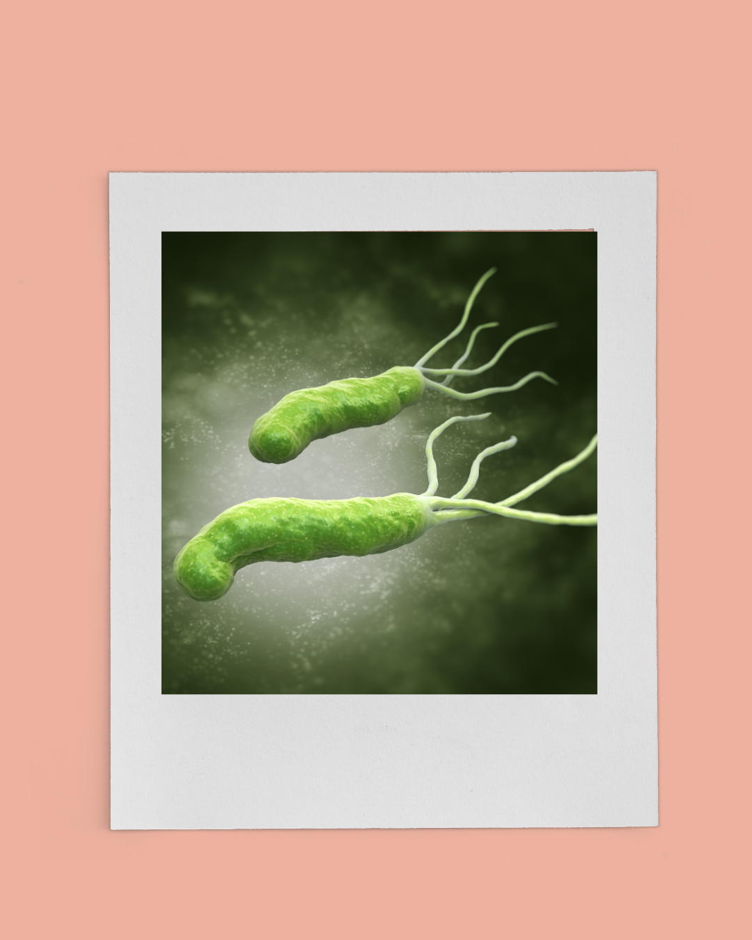 Helicobacter Pylori