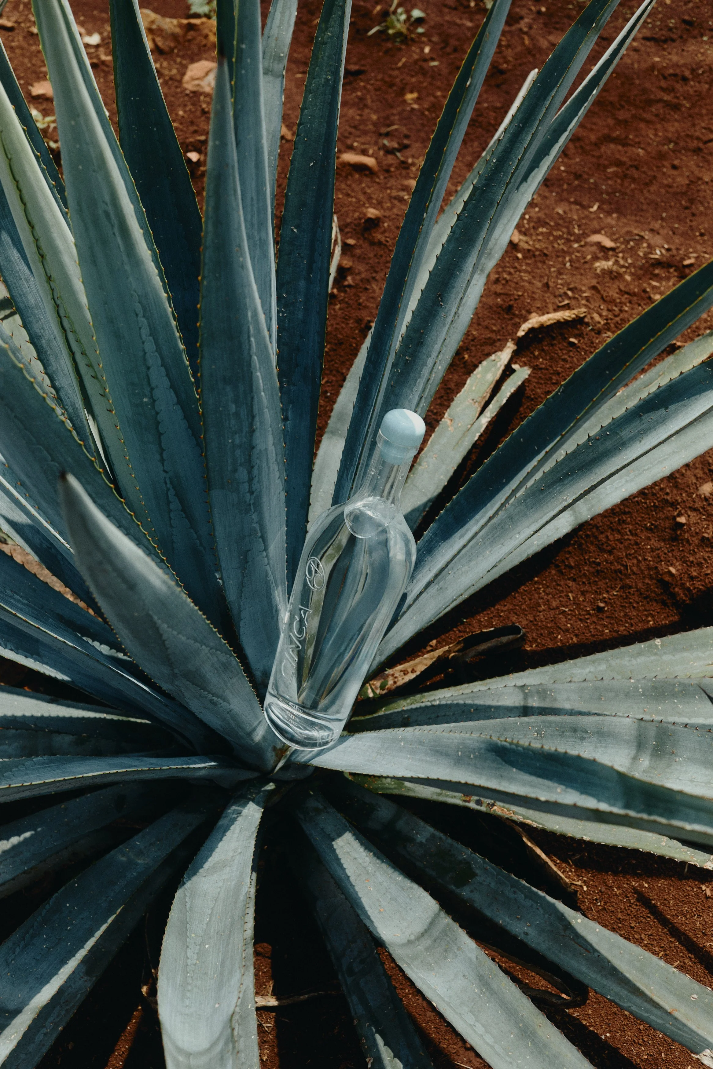 Copy of Copy of 240818-23_CINCA_DAY1_09_1722.jpg