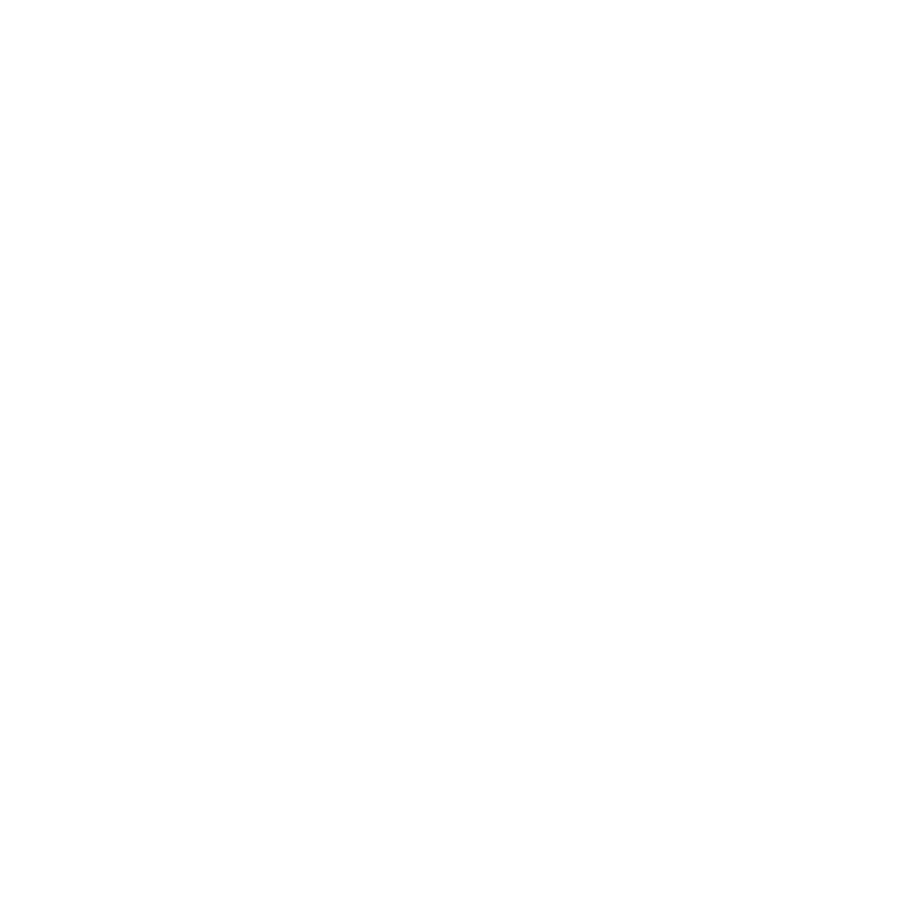 Full Potential Agency
