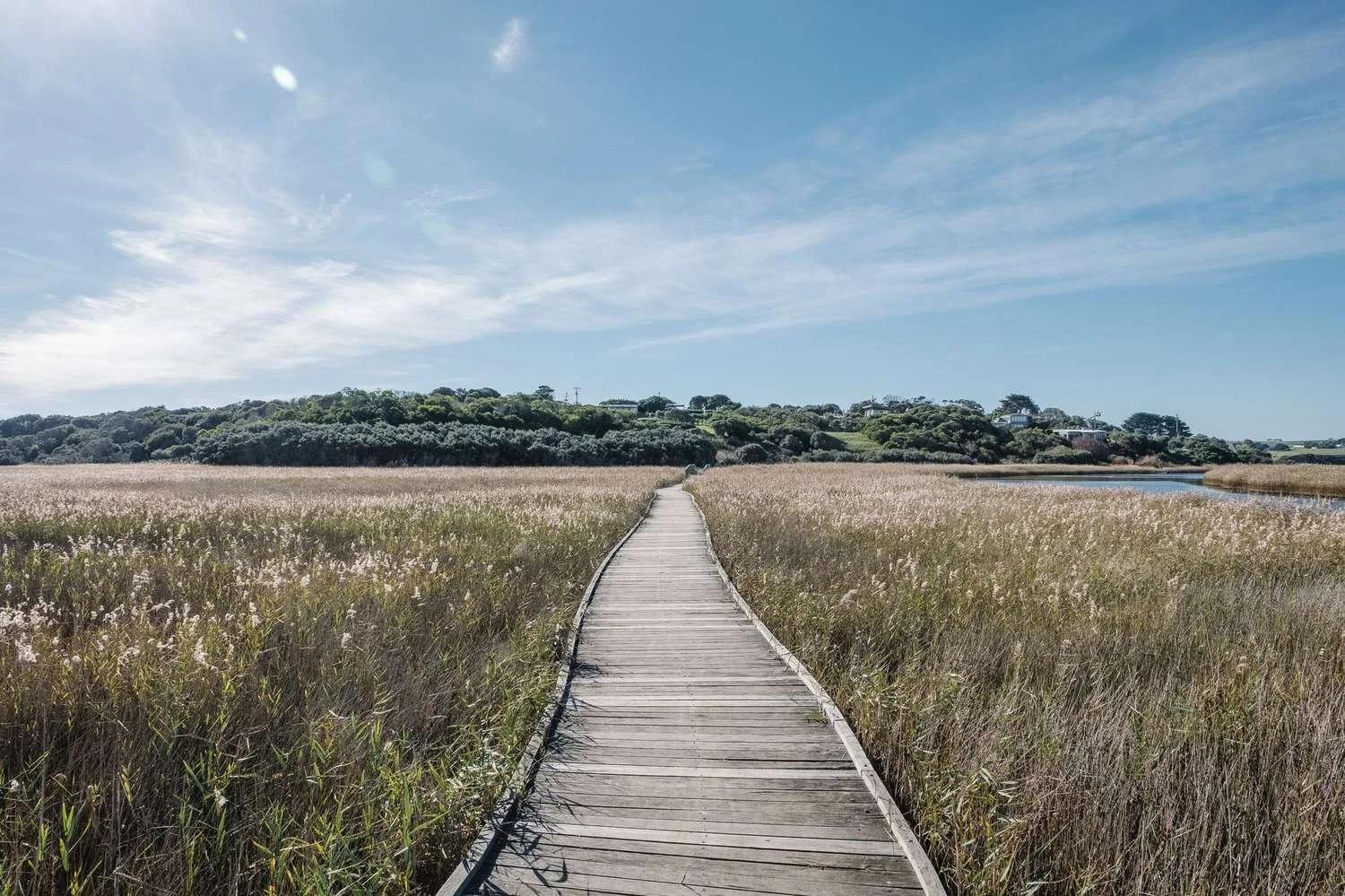 03_quote_field-path.jpg