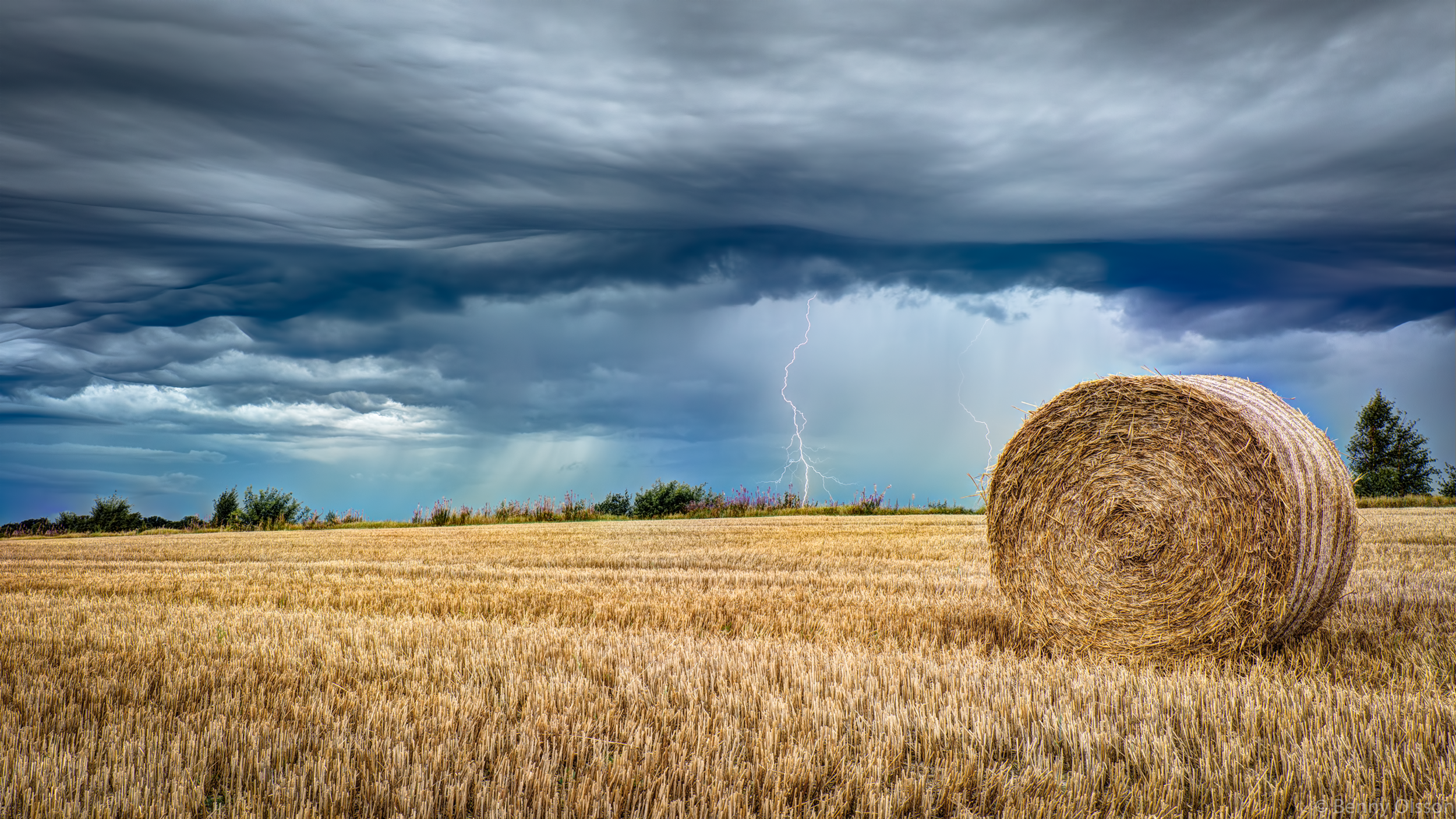 Autumn Thunder_medium.png