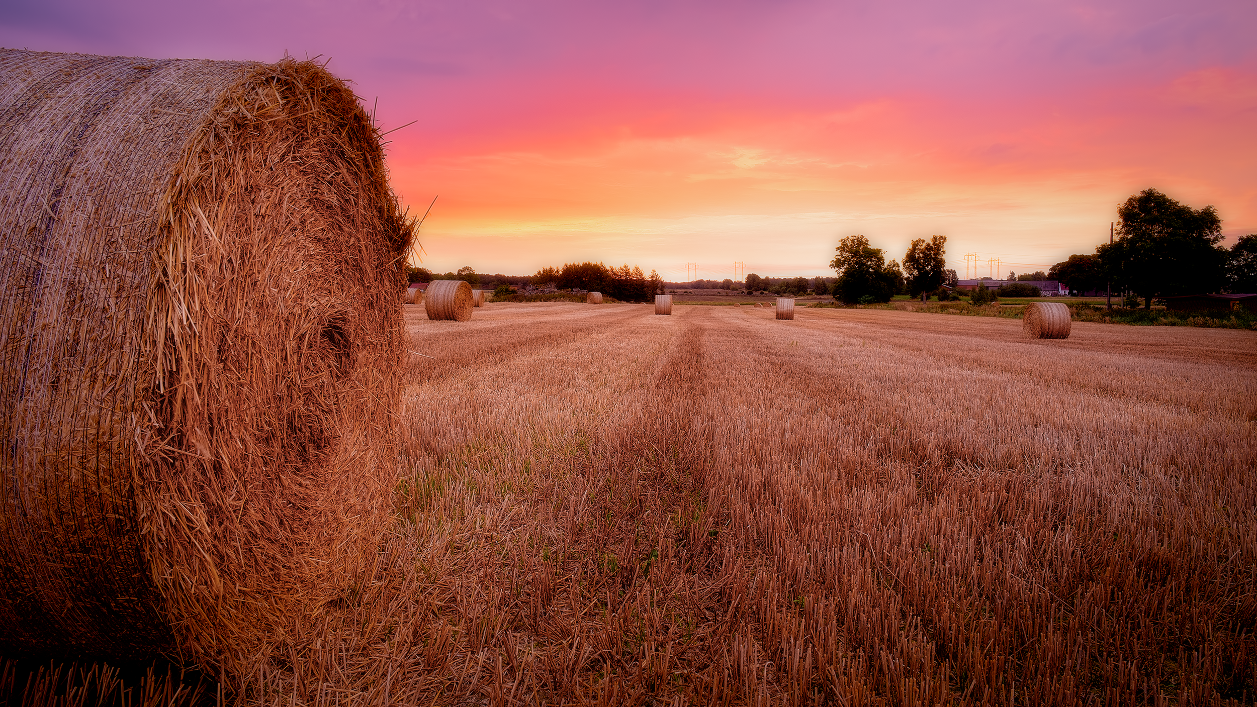 Autumn Sunrise_medium.png