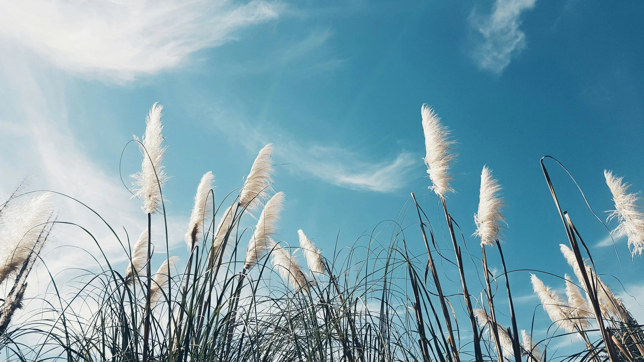 Breathwork Facilitator Training in the UK: UKBA-Aligned Pathways