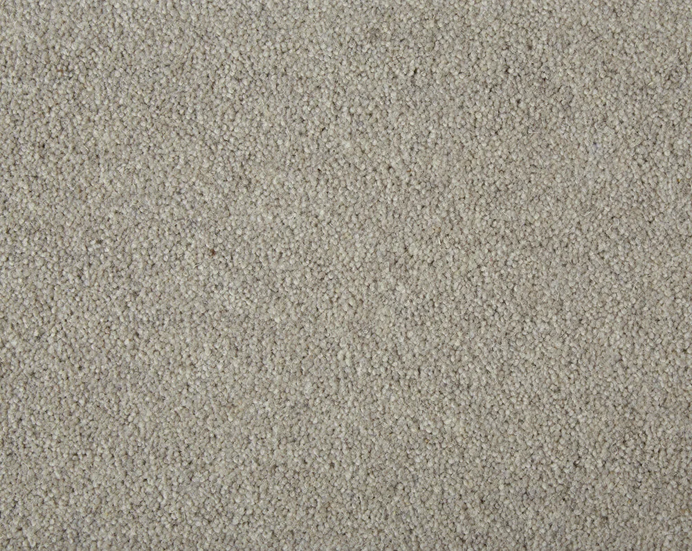 c-inetpub-wwwroot-cormar-carpets-b2c-cms-cormarcarpetsb2c-v8-images-import-image.jpg