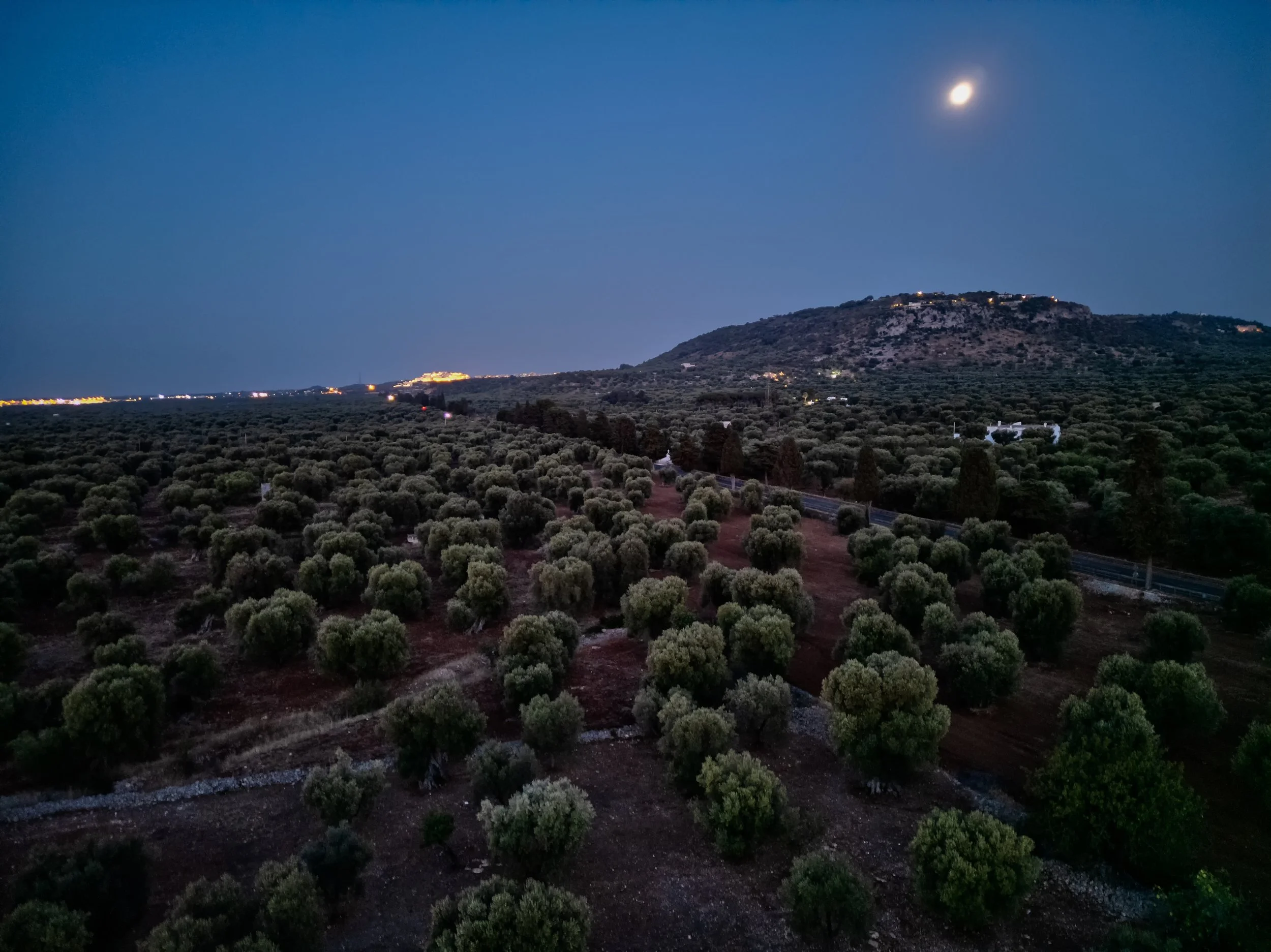 MASSERIA ARTEMISIA-28.jpg
