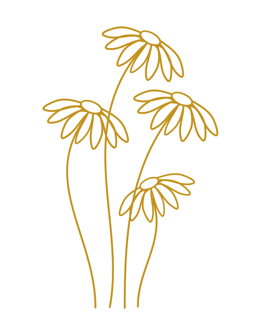 Outline drawing of four daisies with long stems and petals in gold color on a black background.