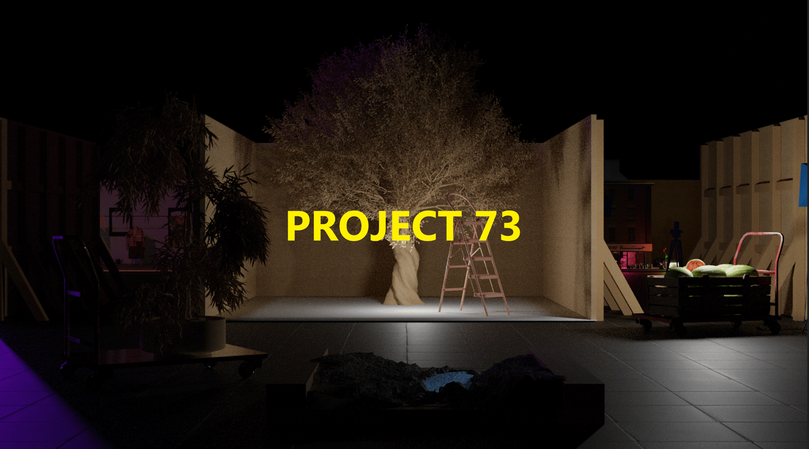 Project 73