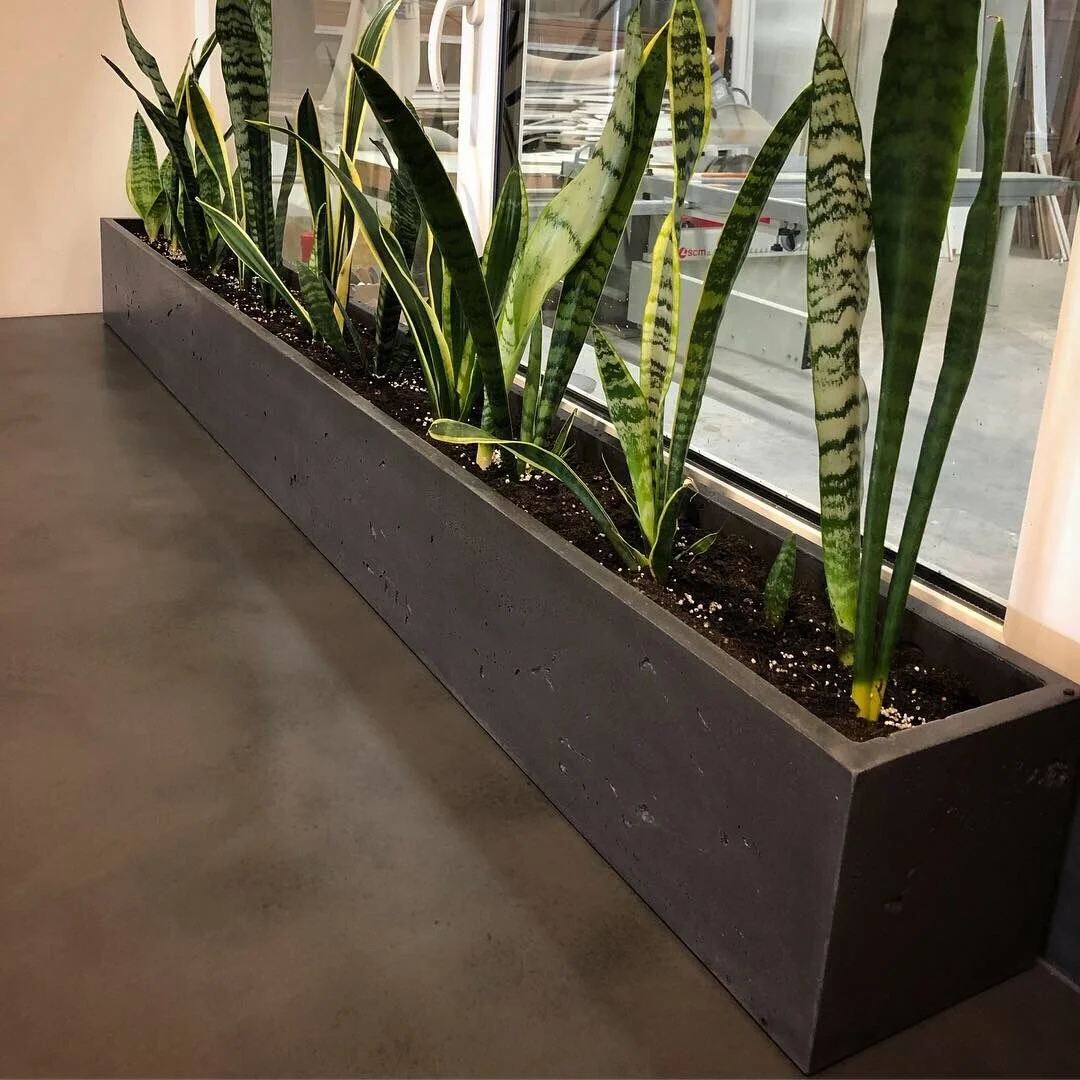 Backyard planters: unique planters in Adelaide