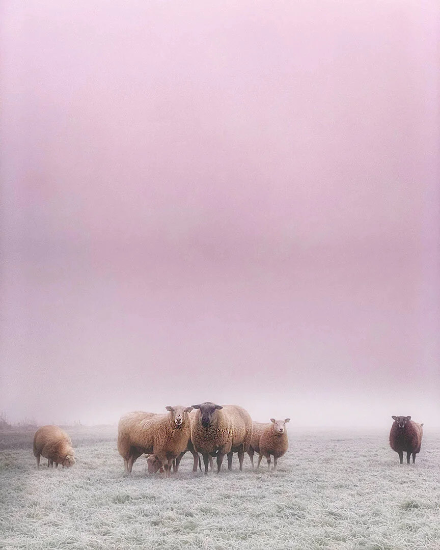 Squarespace: customize summary block fonts