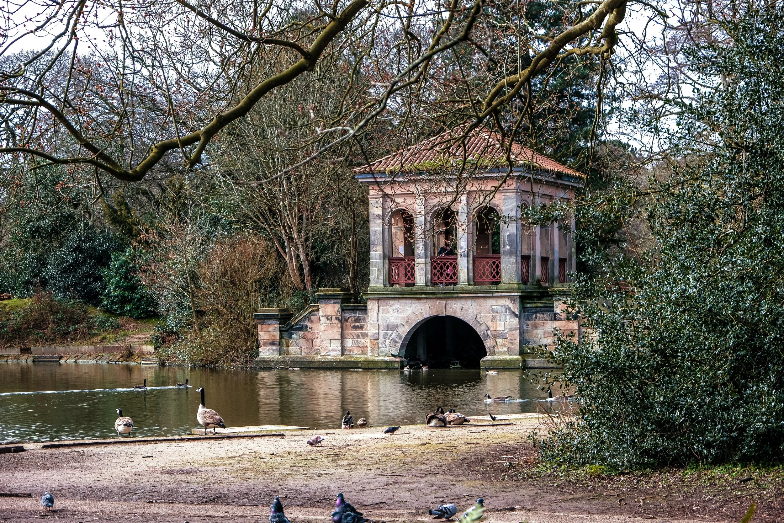 Birkenhead park Lake 001.JPEG