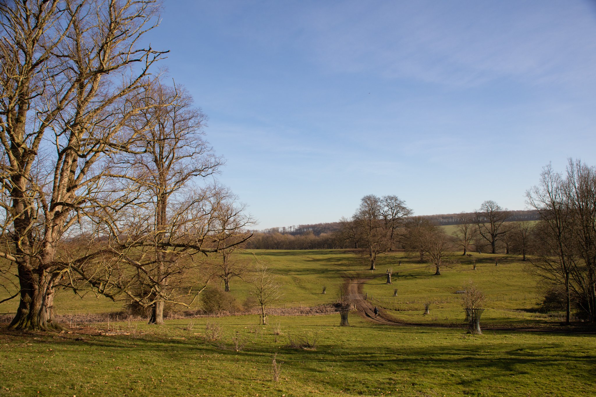 Londesborough Park.jpg