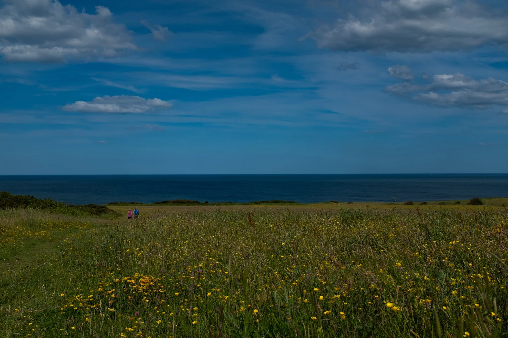 Durham Heritage Coast-02.jpg