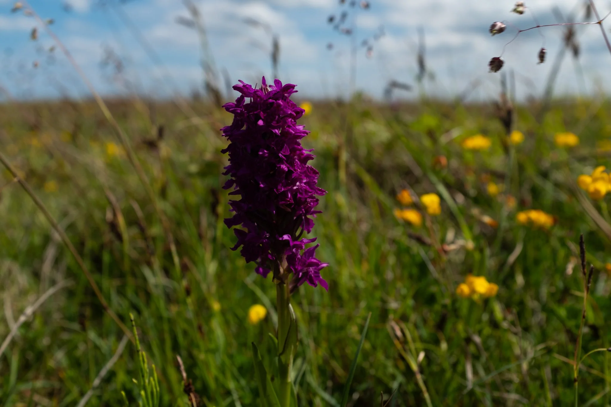 Durham Heritage Coast-03.jpg