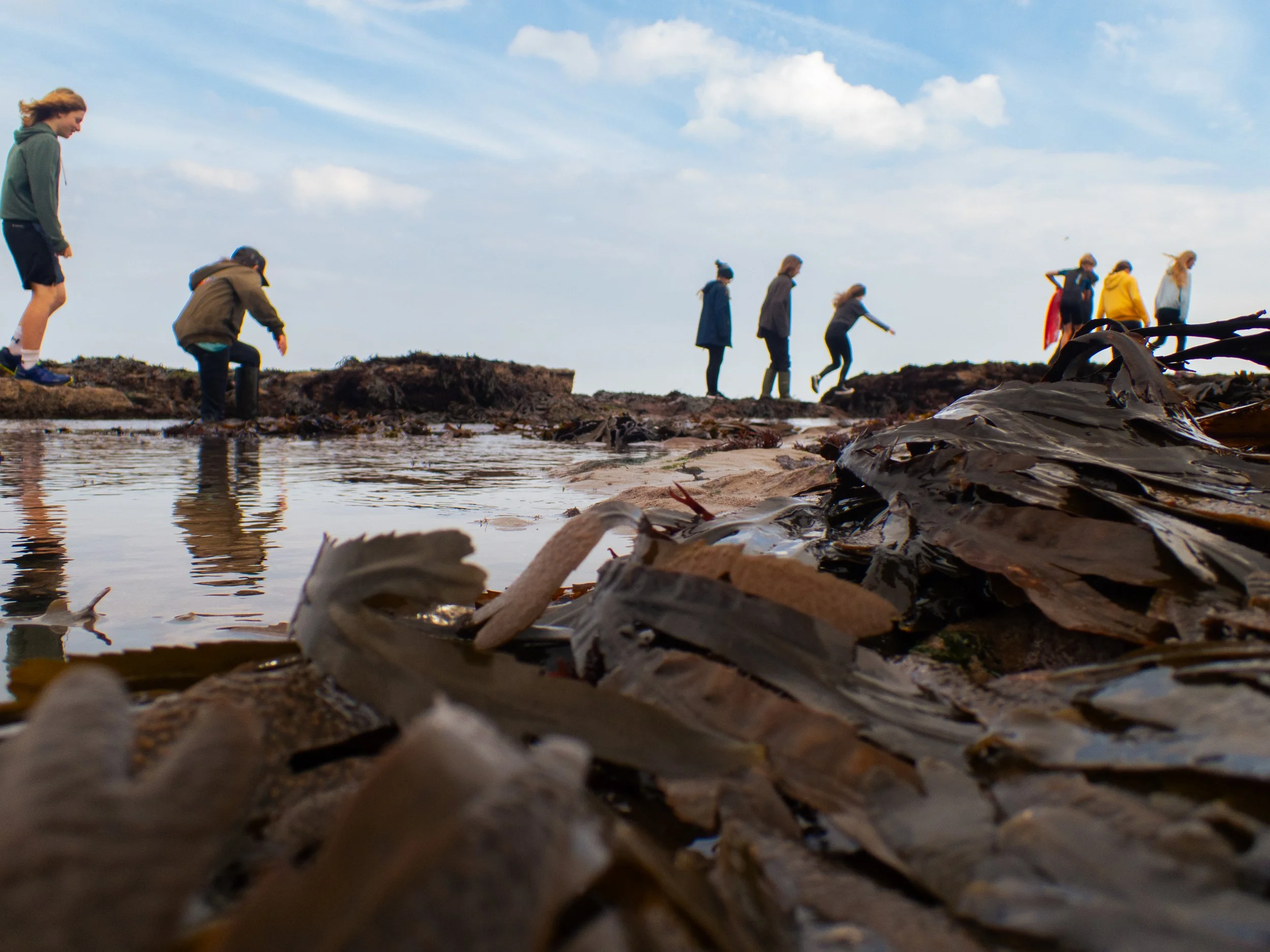 Rock Pool-04.jpg