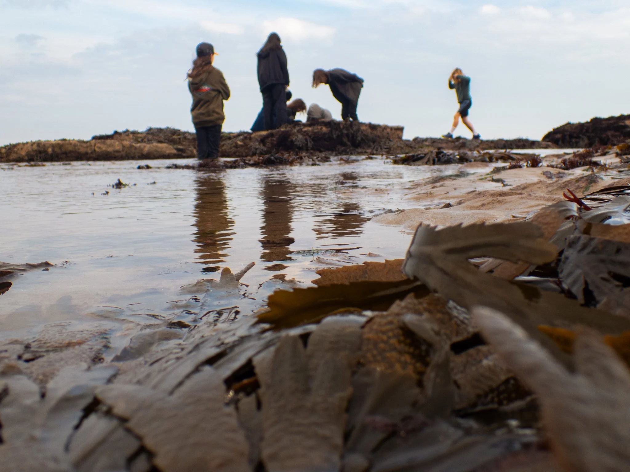 Rock Pool-25.jpg