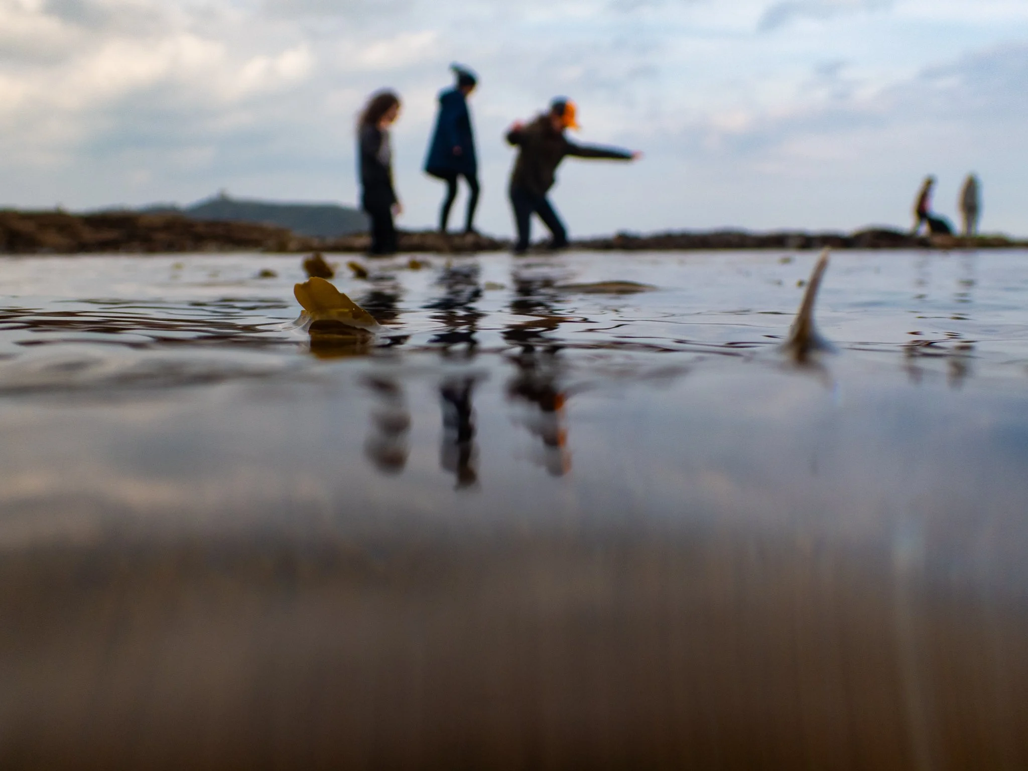 Rock Pool-26.jpg