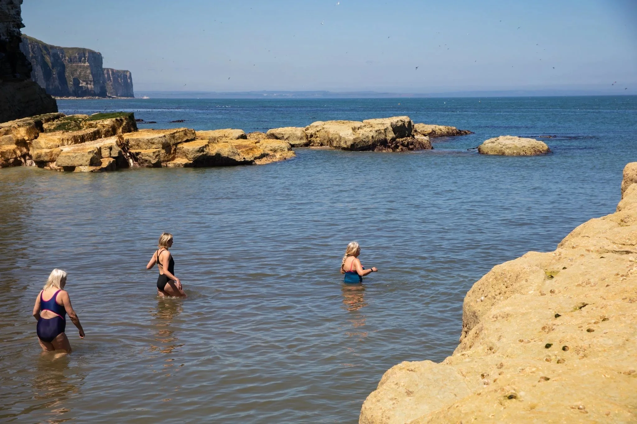 Wild Swim Walk & Wellbeing Day Retreat (Puffins and Caves 2)