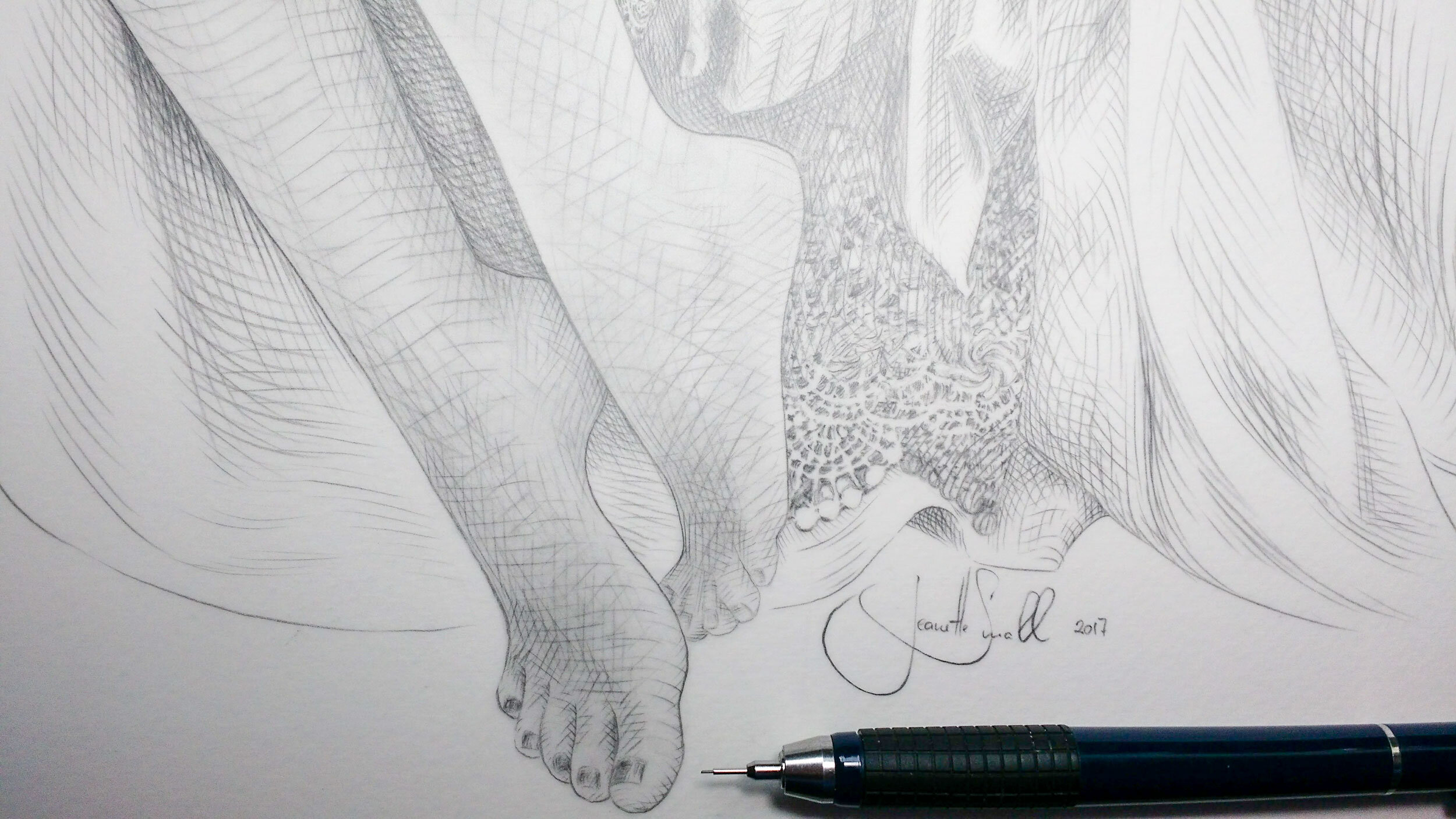 jeanette-small_2017_convergence--drawing_detail-feet-and-signature.jpg
