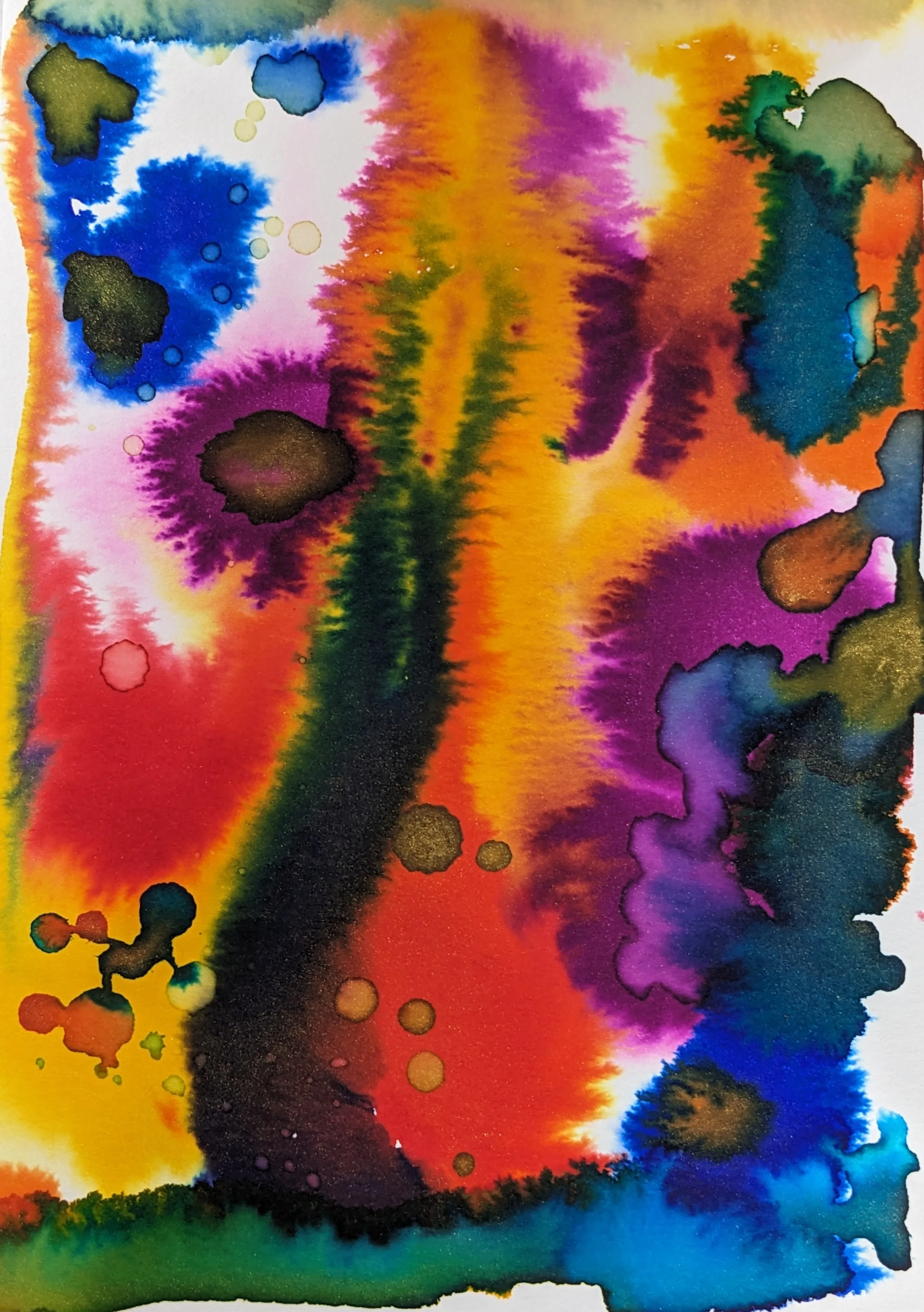 PXL_20240729_204140170.jpg