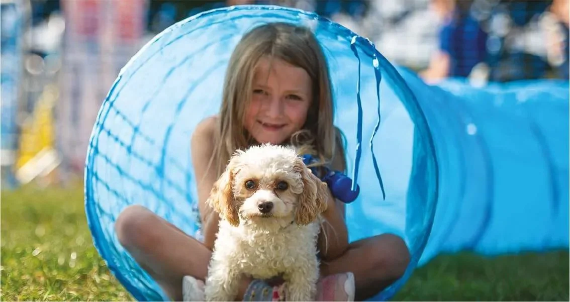 Paws in the Park at Ardingly