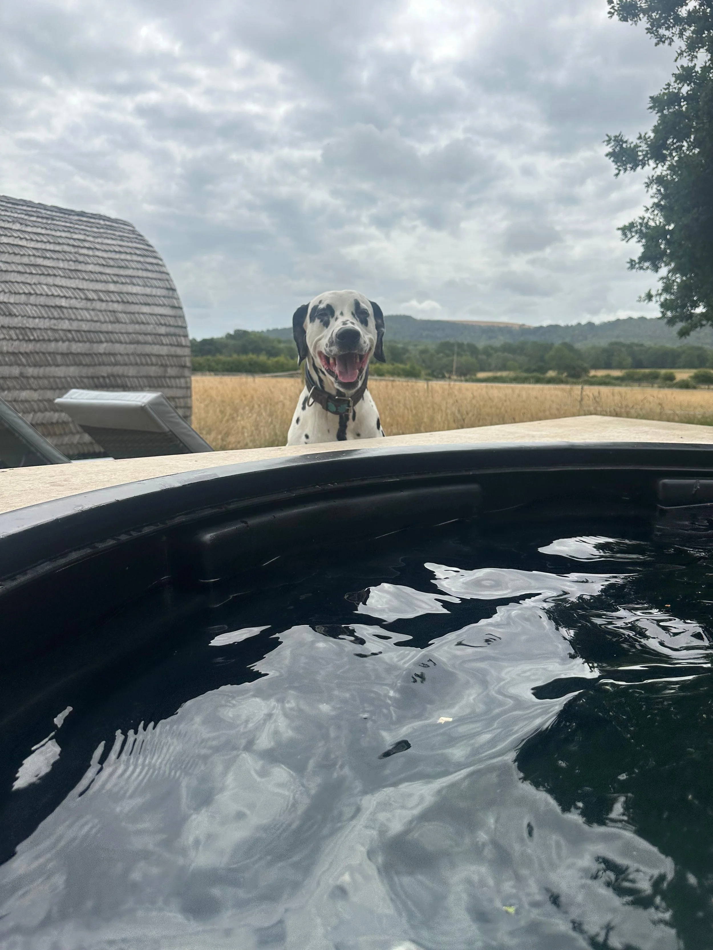 Denver checks Wildspa plunge pool while mum introduces Westerlands experiences for corporate client