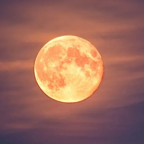 Moonlit WildSpa