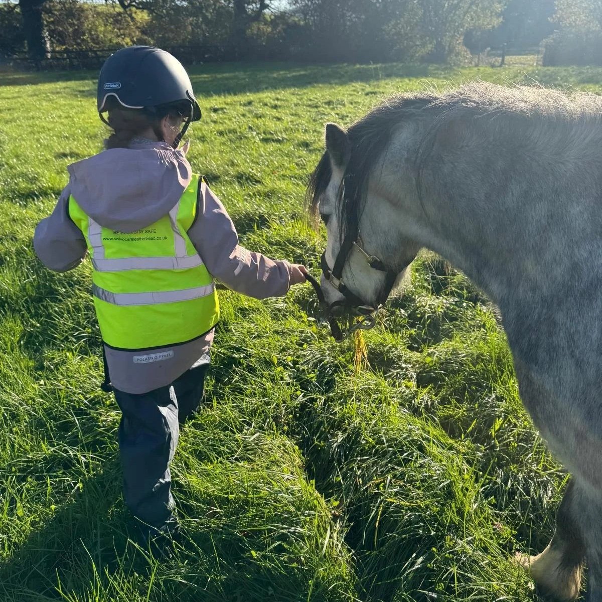 Spring Equinox: Forage & Feast with a Horse