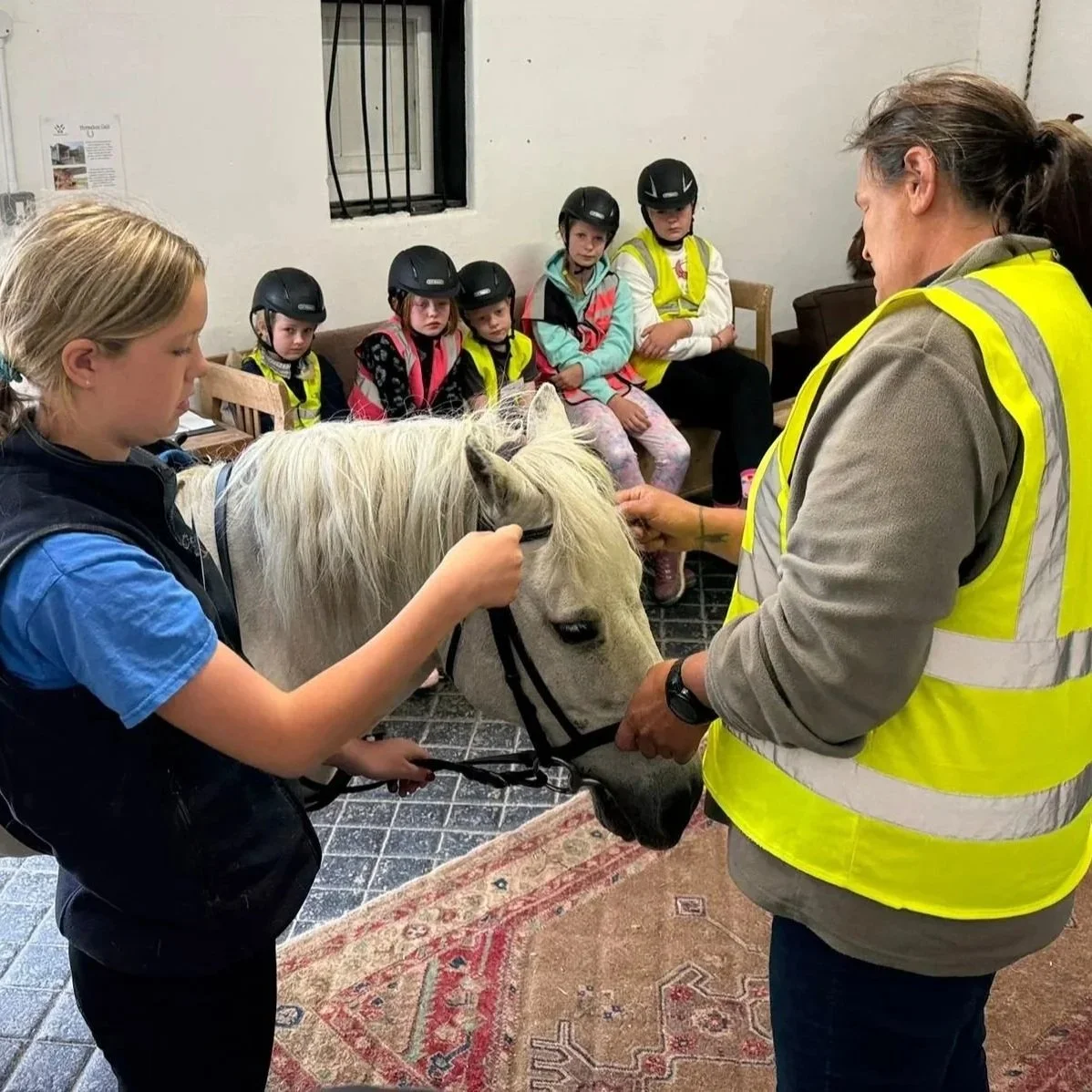 westerlands-equestrian-pony-morning-class.jpg