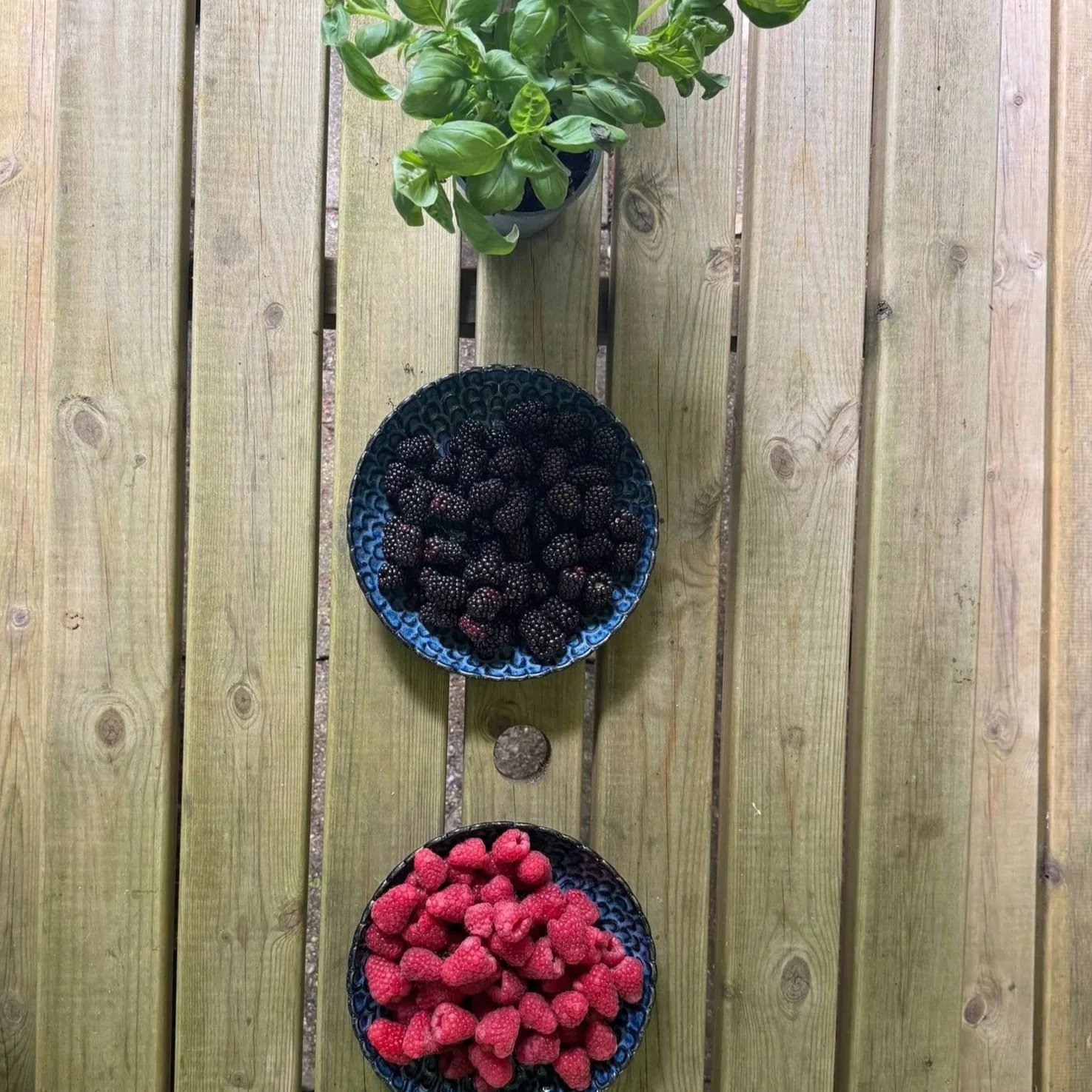 Botanical Mixology Workshop (Copy)