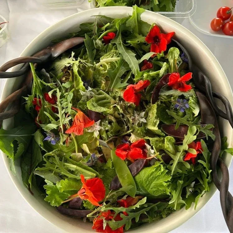 westerlands-lunch-salad.jpg