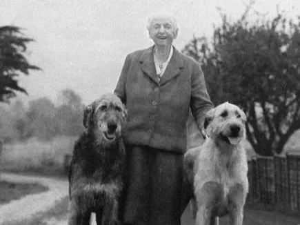 The Women Shaping Westerlands’ Story